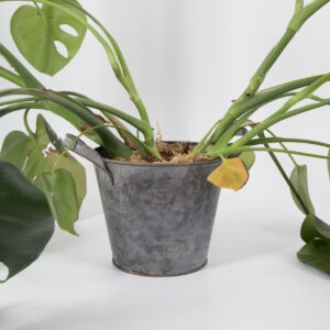 Vaso in Metallo Grigio - 1 Pezzo