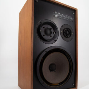 Cassa Stereo Legno L32xH56cm - 2 Pezzi