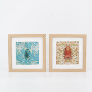 Quadro L22,5xH22,5cm - 2 Pezzi