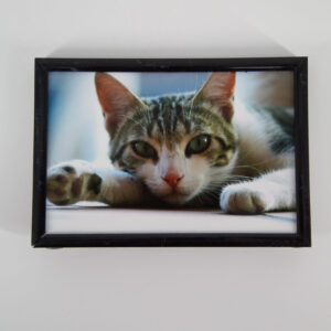 Quadro  L11,5xH16,5cm - 1 Pezzo