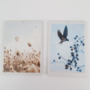 Quadro L18,5xH24cm - 2 Pezzi