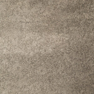 Tappeto Tortora L152xP81cm - 1 Pezzo