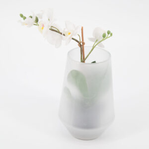 Vaso Semi Trasparente - 1 Pezzo