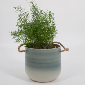 Vaso Verde - 1 Pezzo