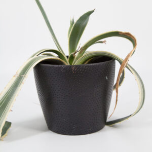 Vaso Nero L20xH16cm - 1 Pezzo