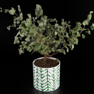 Vaso Fantasia Bianca e Verde - 1 Pezzo