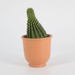 Vaso Arancione - 1 Pezzo