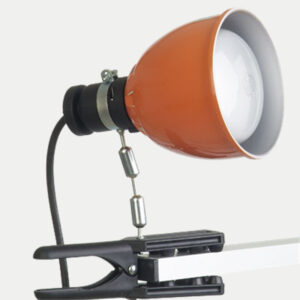 Faro/Lampada Cosmolight RC50 Photoflood (500W E27) - 2 Pezzi