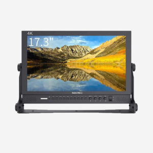 Monitor 15” Seetec - 1 Pezzo