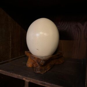 Uovo di struzzo bianco crema con texture puntinata, posizionato su un supporto di legno scuro intagliato, su una mensola.