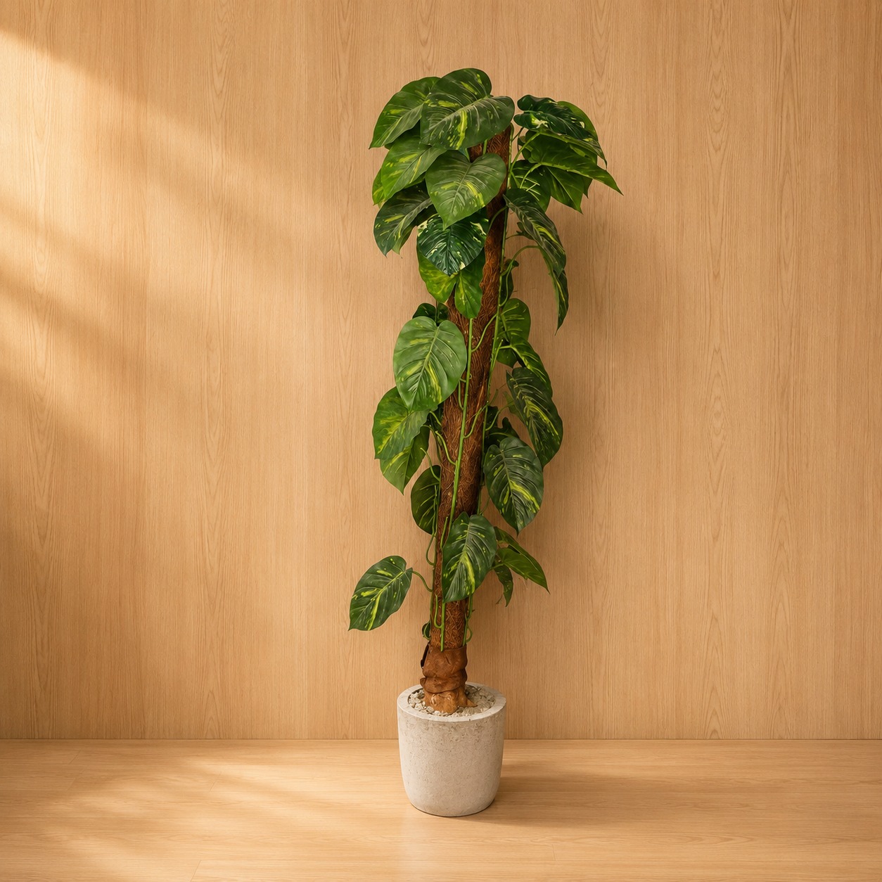 Grande pianta artificiale di Pothos con foglie variegate verdi e gialle su palo muschio, in vaso grigio effetto cemento.