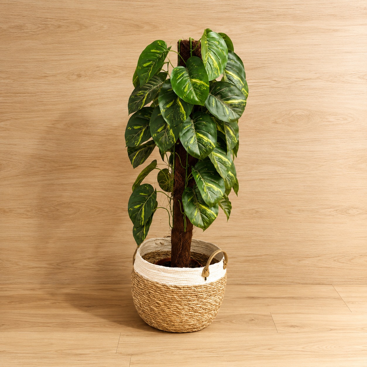 Pianta artificiale di Pothos con foglie variegate verdi e gialle, su tutore in fibra di cocco, contenuta in un cesto intrecciato bicolore.