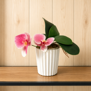 Orchidea artificiale Phalaenopsis con fiori rosa e foglie verdi, posizionata in un vaso bianco a coste su una mensola di legno.