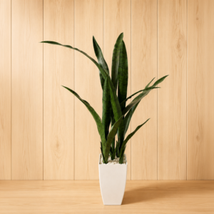 Sansevieria artificiale con foglie verdi variegate in un vaso quadrato di ceramica bianca, su un tavolo di legno chiaro con sfondo a pannelli di legno.