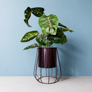 Pianta artificiale di Monstera Adansonii con foglie forate in un vaso metallico scuro, posizionata su un supporto a gabbia in filo metallico nero, su sfondo azzurro.