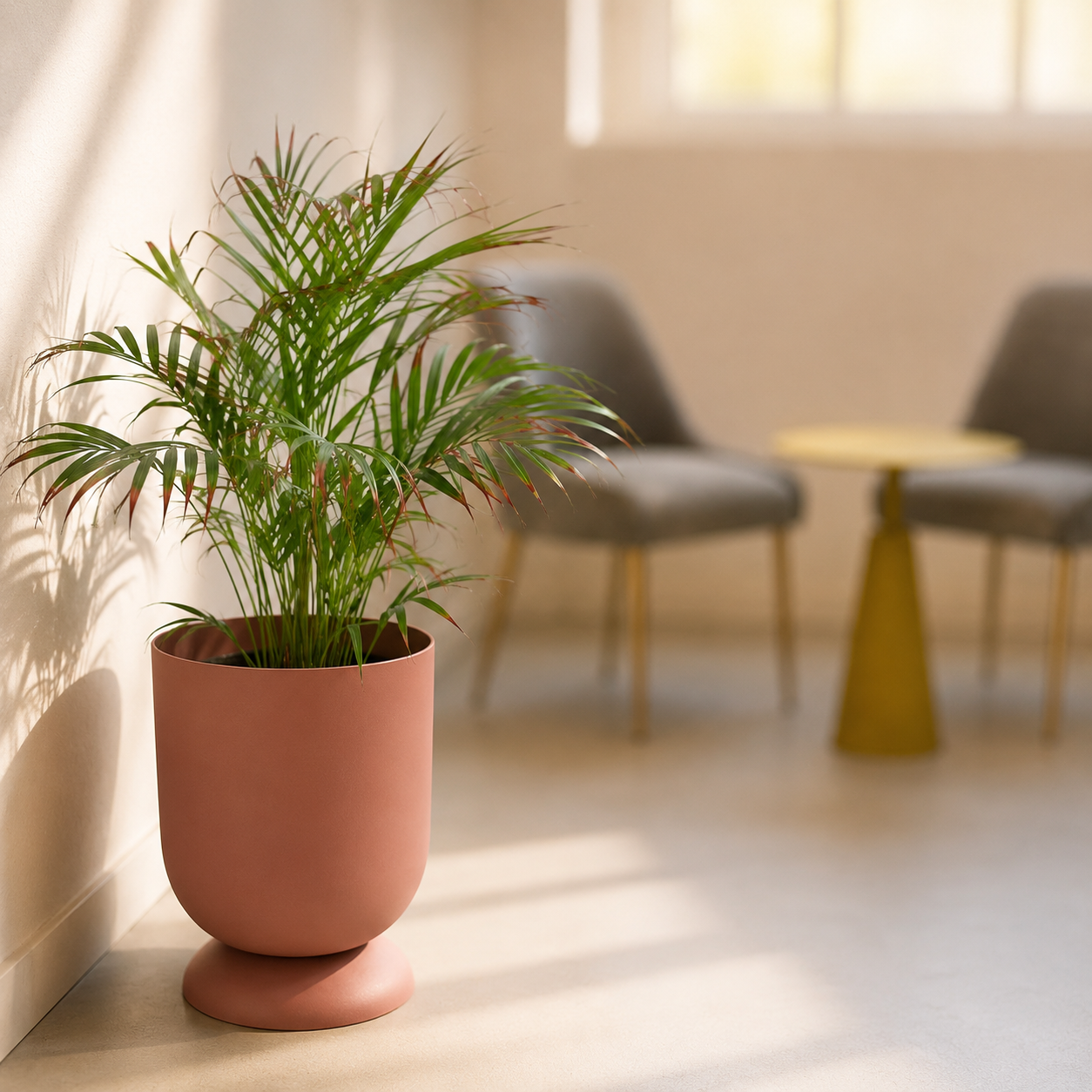 Vaso Cilindrico Design Minimalista - immagine 2
